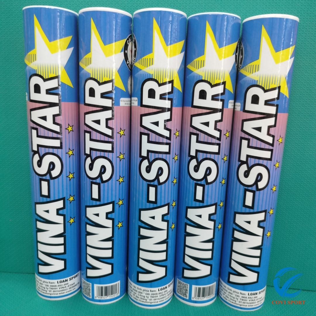 Ống cầu Vina Star