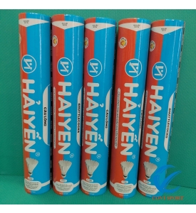 Ống cầu Hải Yến xanh đỏ
