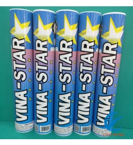Ống cầu Vina Star